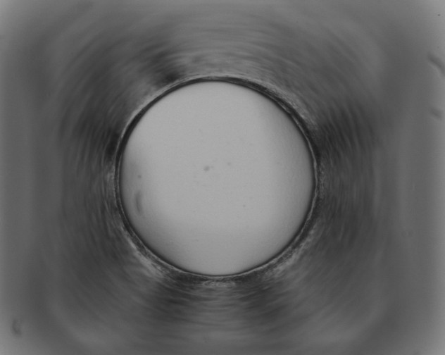 X0000091681513200709201228