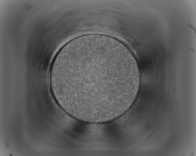 X0000091681514200709201229