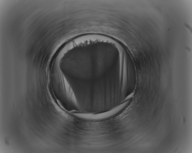 X0000091681515200709201229