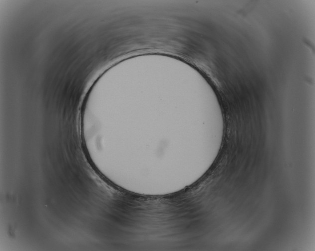 X0000091681516200709201229