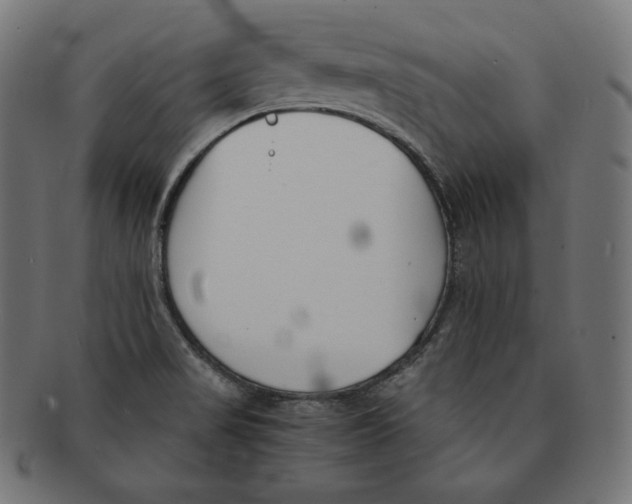 X0000091681517200709201229