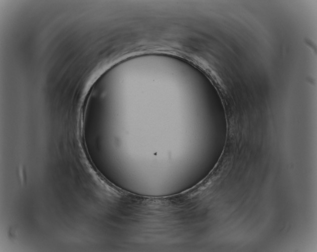 X0000091681520200709201229