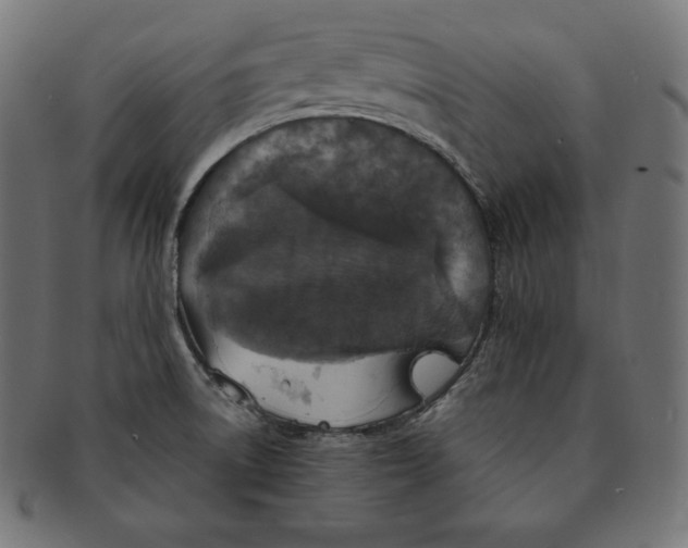 X0000091681522200709201229