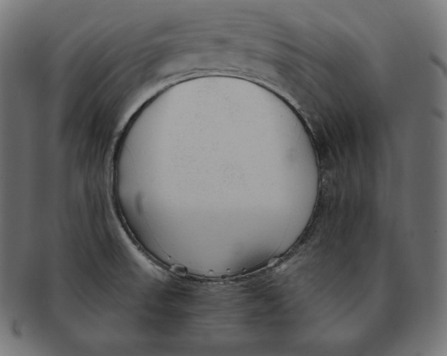 X0000091681523200709201229