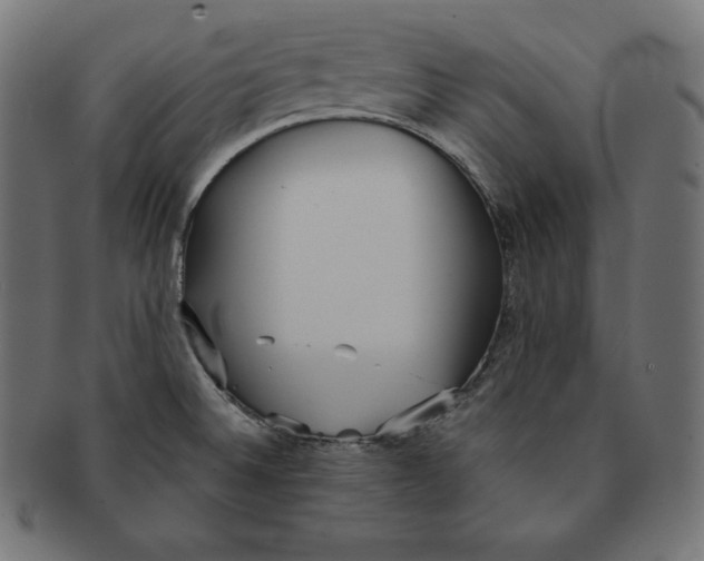 X0000091681524200709201229