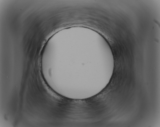 X0000091681526200709201229