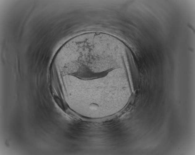 X0000091681527200709201229