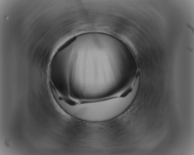 X0000091681528200709201229