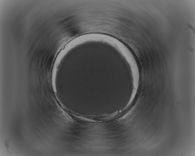 X0000091681529200709201229