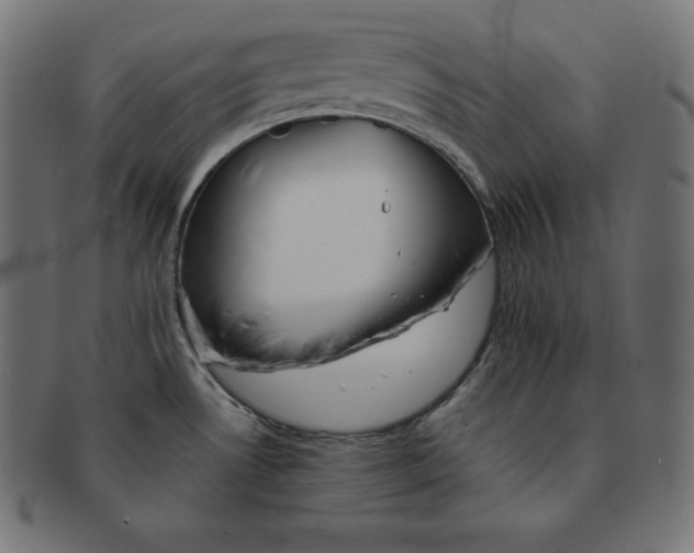 X0000091681530200709201229