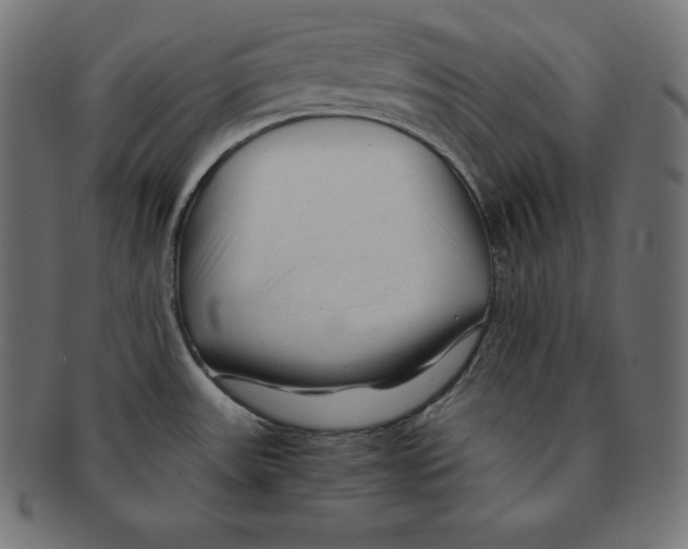 X0000091681531200709201229