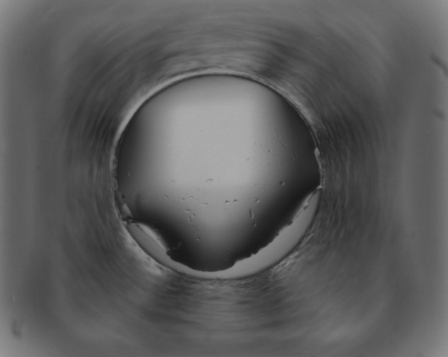 X0000091681532200709201229