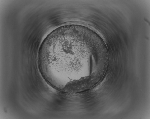 X0000091681533200709201229