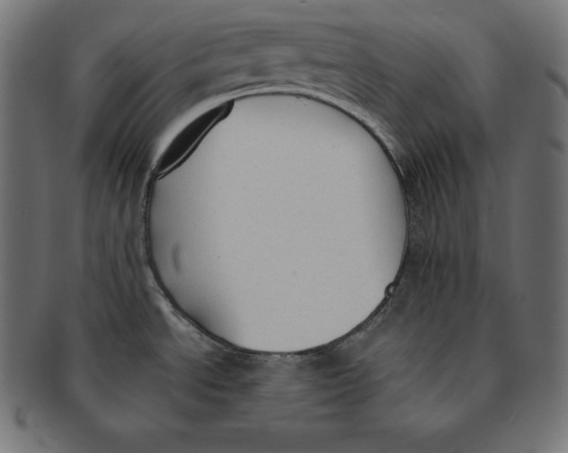 X0000091681534200709201229