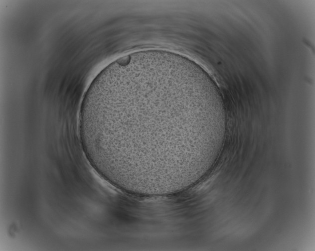 X0000091681535200709201229