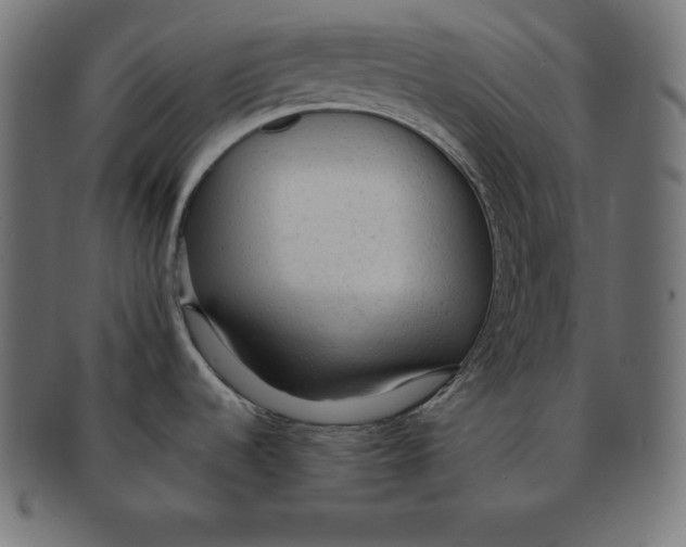 X0000091681536200709201229