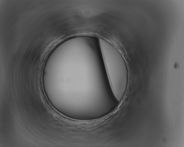 X0000091690001200708231140