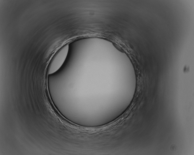X0000091690002200708231140