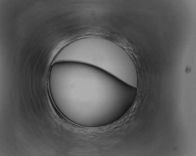 X0000091690003200708231140