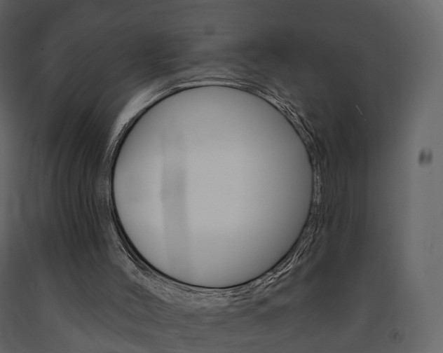 X0000091690004200708231140