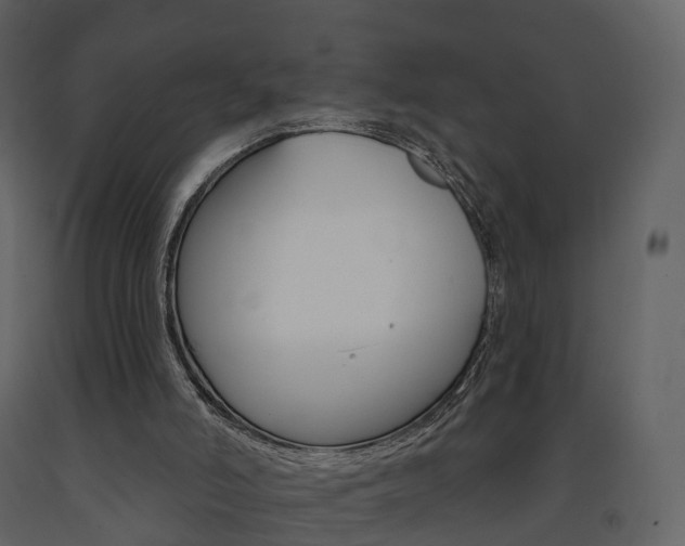 X0000091690006200708231140