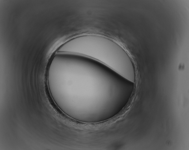 X0000091690007200708231140