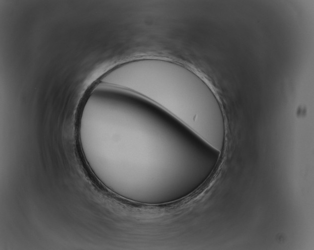 X0000091690008200708231140