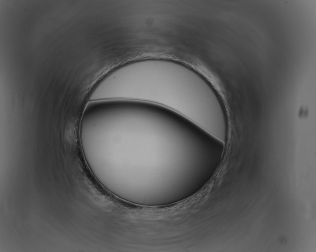 X0000091690009200708231140