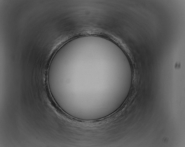 X0000091690010200708231140