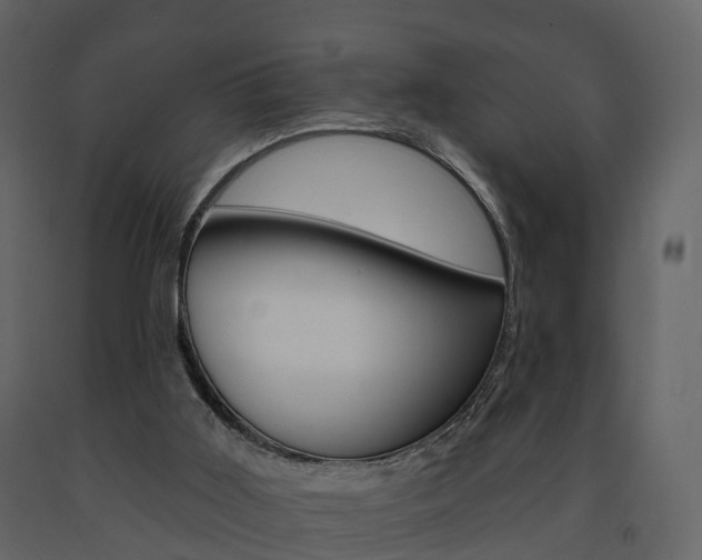 X0000091690011200708231140