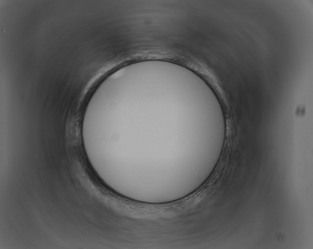 X0000091690012200708231140