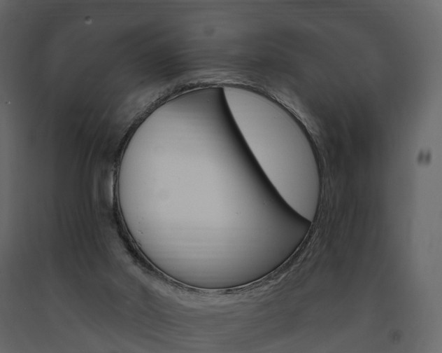 X0000091690014200708231140