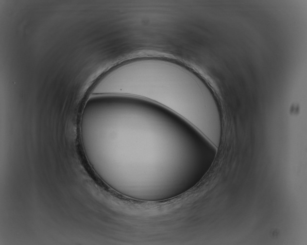 X0000091690015200708231140