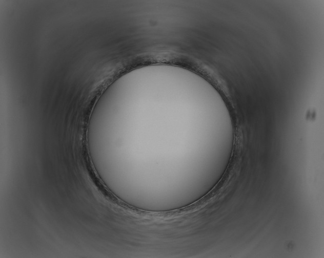 X0000091690018200708231140