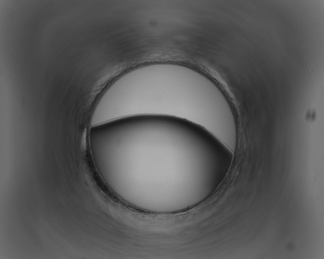 X0000091690019200708231140