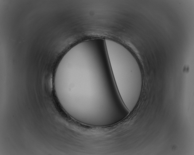 X0000091690020200708231140