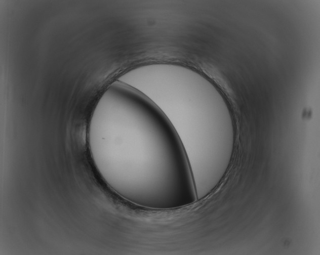 X0000091690021200708231140