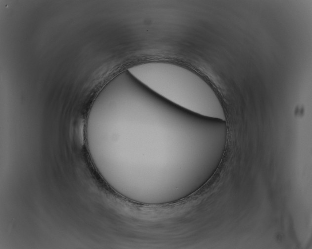 X0000091690022200708231140