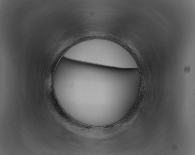X0000091690024200708231140