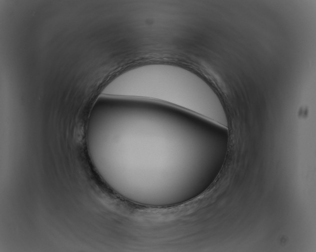 X0000091690025200708231140
