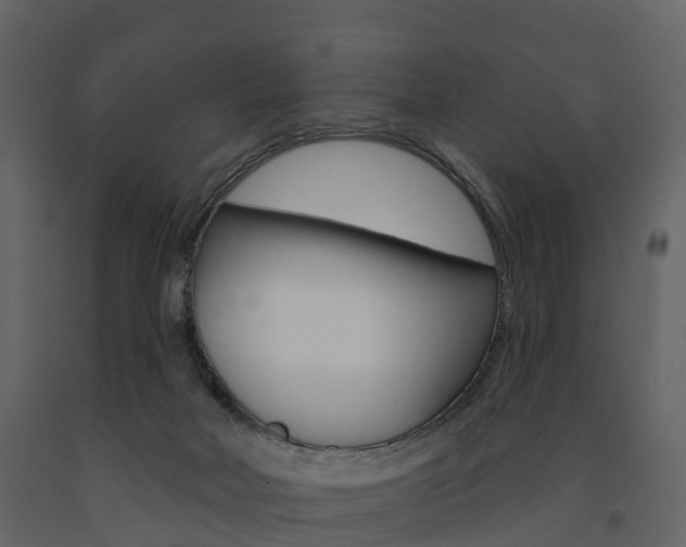 X0000091690026200708231140