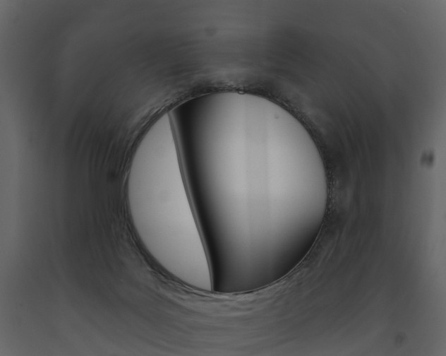 X0000091690027200708231140