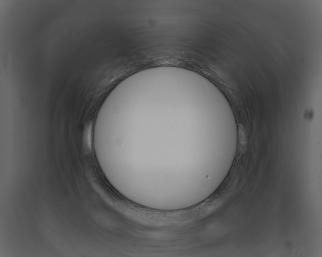 X0000091690028200708231140