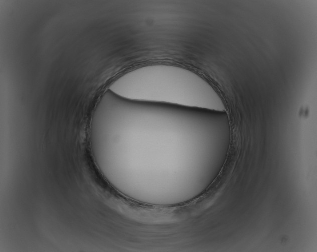 X0000091690032200708231140