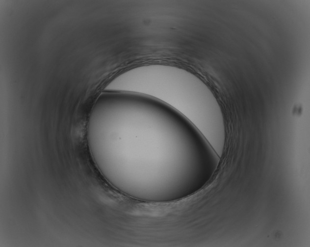 X0000091690033200708231140