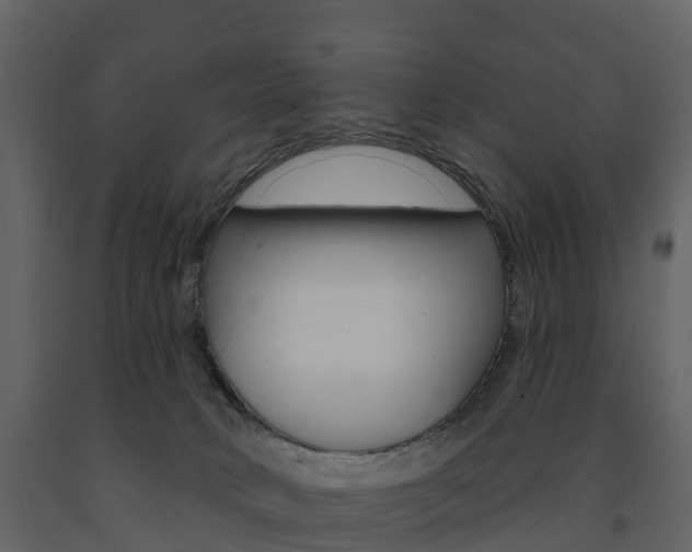 X0000091690034200708231140