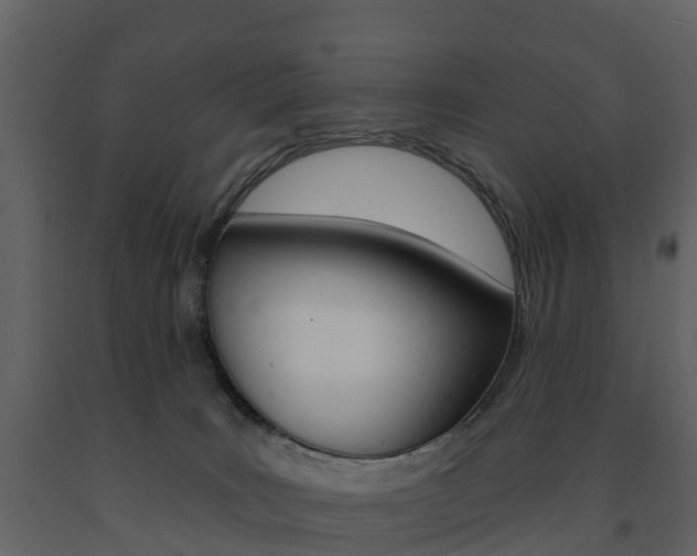 X0000091690035200708231140