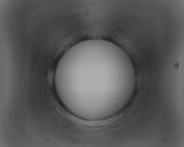 X0000091690038200708231140