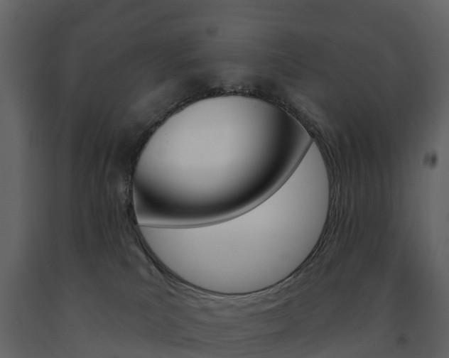 X0000091690039200708231140