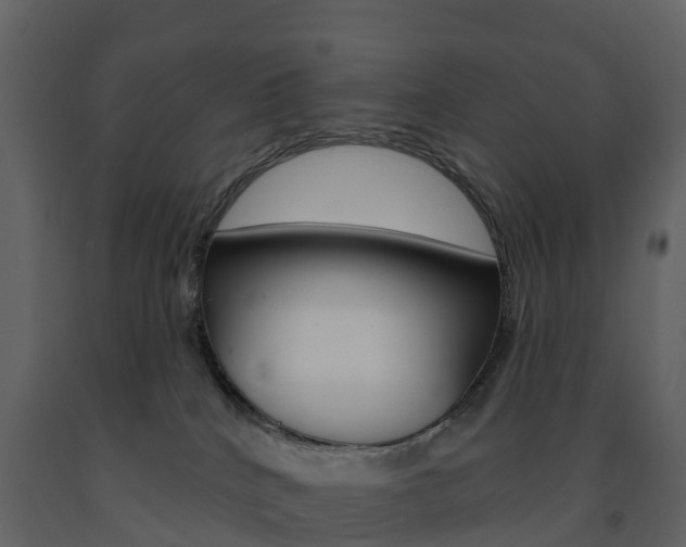 X0000091690040200708231140